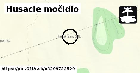 Husacie močidlo