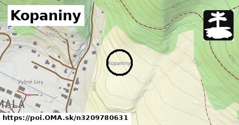 Kopaniny