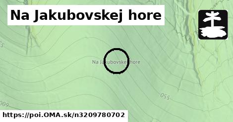 Na Jakubovskej hore