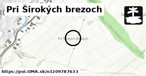 Pri Širokých brezoch