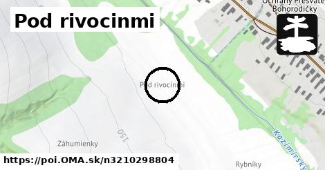 Pod rivocinmi