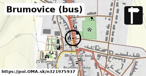 Brumovice (bus)