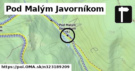 Pod Malým Javorníkom