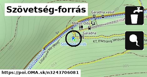 Szövetség-forrás