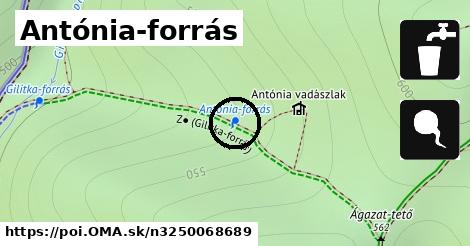 Antónia-forrás