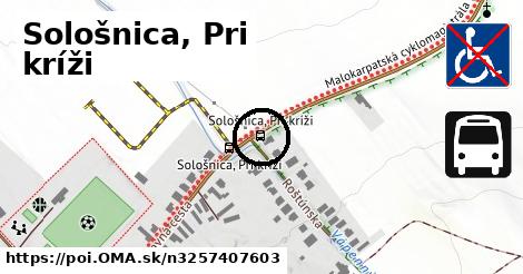 Sološnica, Pri kríži