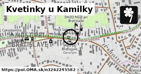 Kvetinky u Kamilky