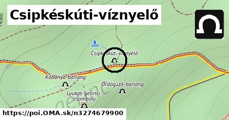 Csipkéskúti-víznyelő