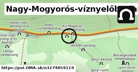 Nagy-Mogyorós-víznyelőbarlang