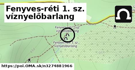 Fenyves-réti 1. sz. víznyelőbarlang