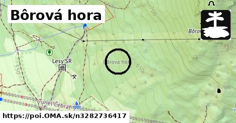 Bôrová hora