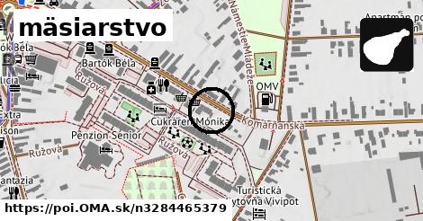 mäsiarstvo