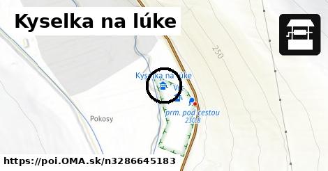 Kyselka na lúke