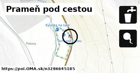 Prameň pod cestou