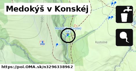 Medokýš v Konskéj