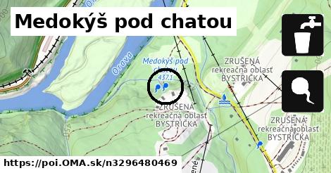 Medokýš pod chatou