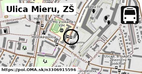 Ulica Mieru, ZŠ