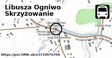 Libusza Ogniwo Skrzyżowanie