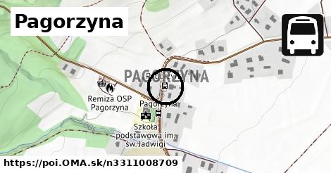 Pagorzyna