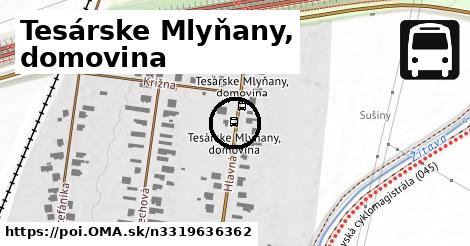 Tesárske Mlyňany, domovina