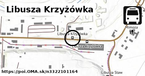 Libusza Krzyżówka