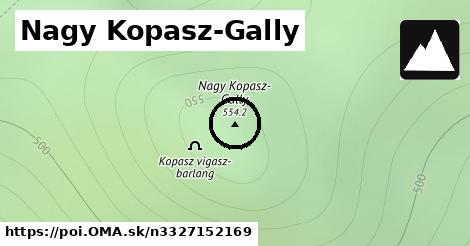 Nagy Kopasz-Gally