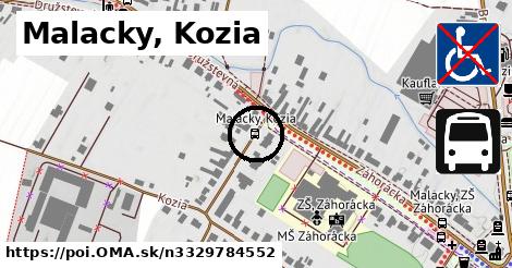 Malacky, Kozia