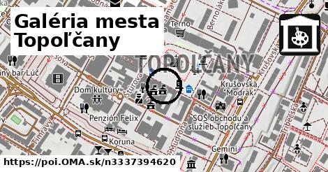 Galéria mesta Topoľčany