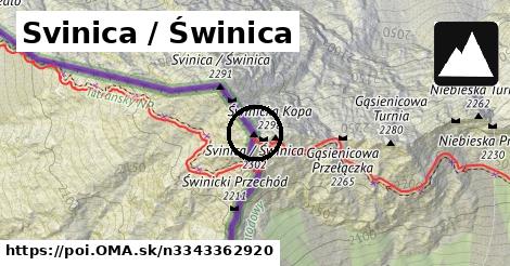 Svinica / Świnica