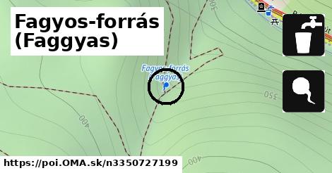 Fagyos-forrás (Faggyas)