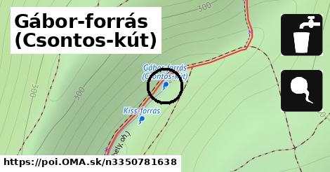 Gábor-forrás (Csontos-kút)