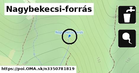 Nagybekecsi-forrás