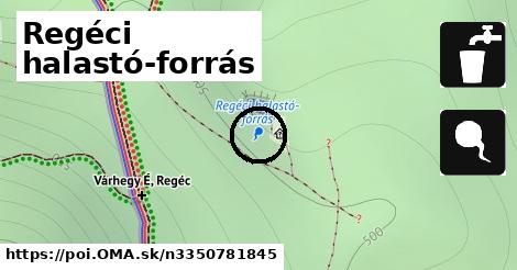 Regéci halastó-forrás