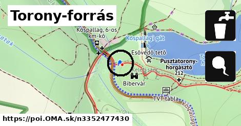 Torony-forrás