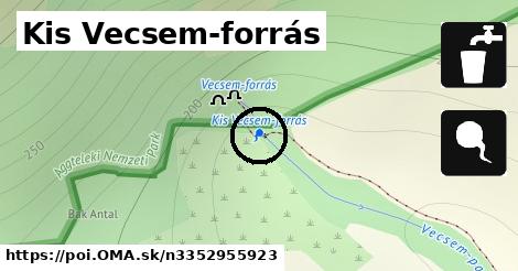 Kis Vecsem-forrás