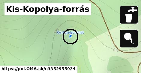 Kis-Kopolya-forrás