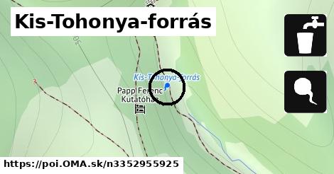 Kis-Tohonya-forrás