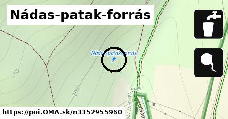 Nádas-patak-forrás