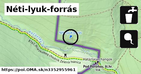 Néti-lyuk-forrás