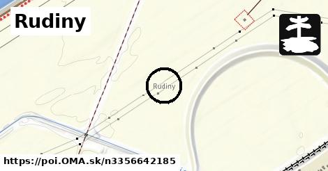 Rudiny