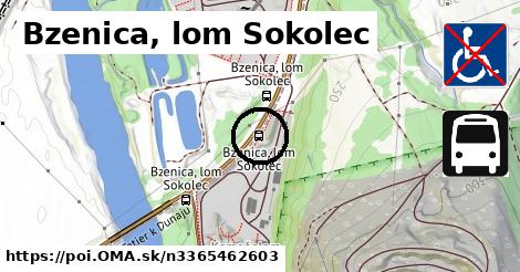 Bzenica, lom Sokolec