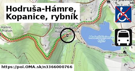 Hodruša-Hámre, Kopanice, rybník