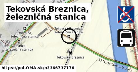 Tekovská Breznica, železničná stanica