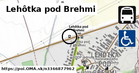 Lehôtka pod Brehmi