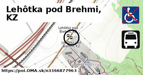 Lehôtka pod Brehmi, KZ