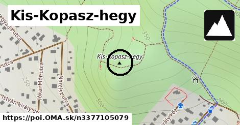 Kis-Kopasz-hegy