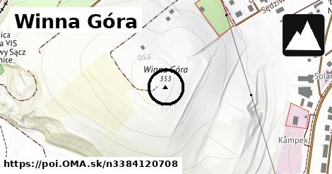 Winna Góra