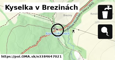 Kyselka v Brezinách