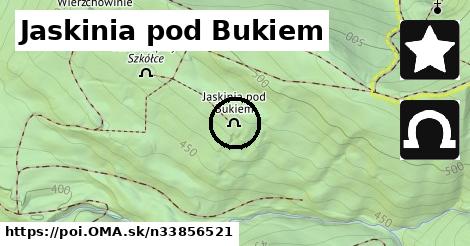 Jaskinia pod Bukiem