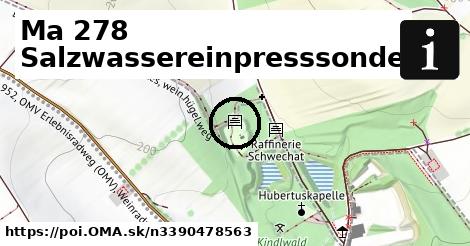 Ma 278 Salzwassereinpresssonde